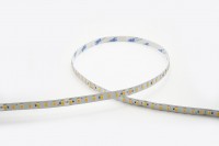 Synergy 21 LED Flex Strip 5630 - 126 HE SWW DC24V 72W IP20 Synergy 21 LED Flex Strip 5630 - 126 HE SWW DC24V 72W IP20