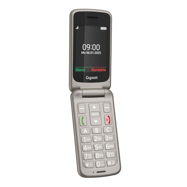 Gigaset GL595 (Silver)