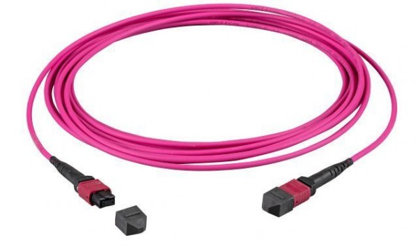 LWL-MTP®-Female Patchkabel OM4 LowLoss, 12 Faser, Typ B crossed, erika-violett, 0.5m