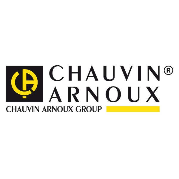 Chauvin Arnoux zbh. P01297096 / Sicherungen 10x38mm (flink) 10A 1000V 30kA (5 Stück)