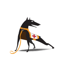 Ruckus End User WatchDog Support Per SZ/(v)SCG AP, 3 YR