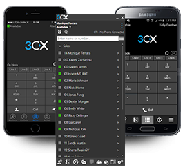 3CX Annual PBX Professional - 32SC